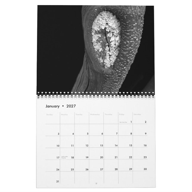 Trees 2010 calendar (Jan 2027)