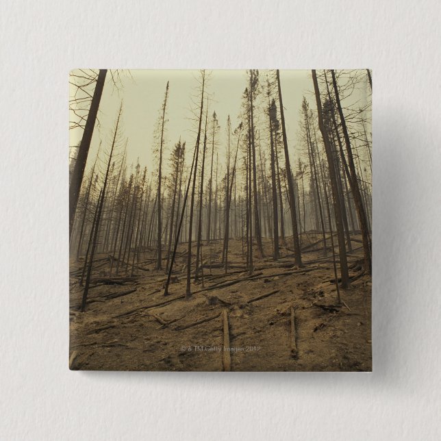 Trees after forest fire 15 cm square badge (Front)