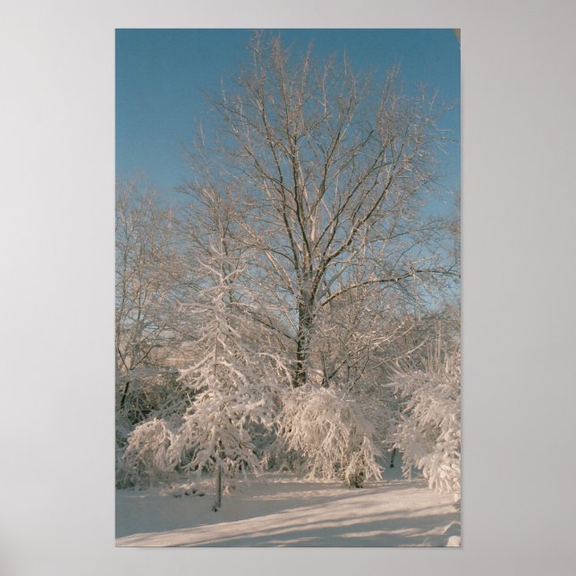 Trees After the Snow Poster (Front)