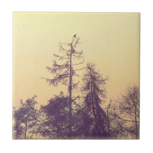 Trees and a Bird Tile