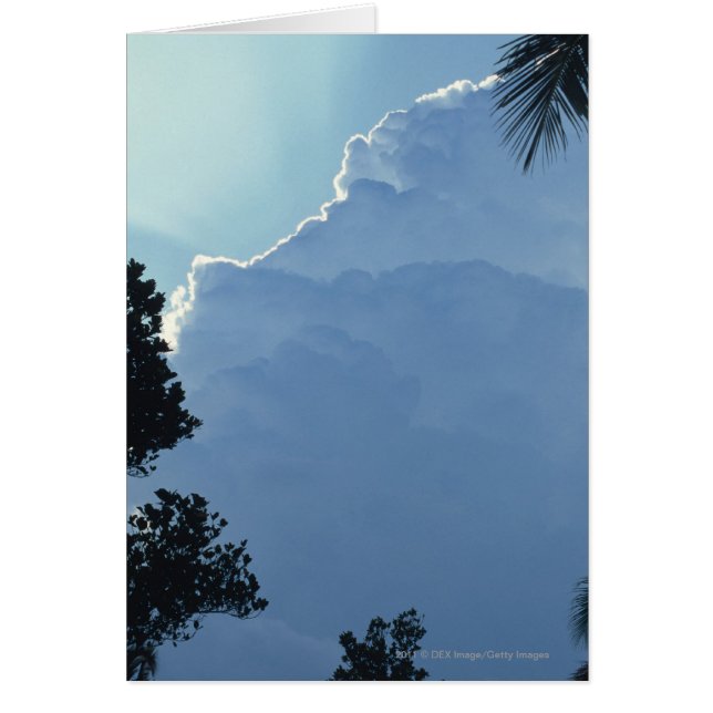 Trees and clouds (Front)