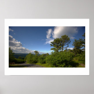Trees and Clouds Poster