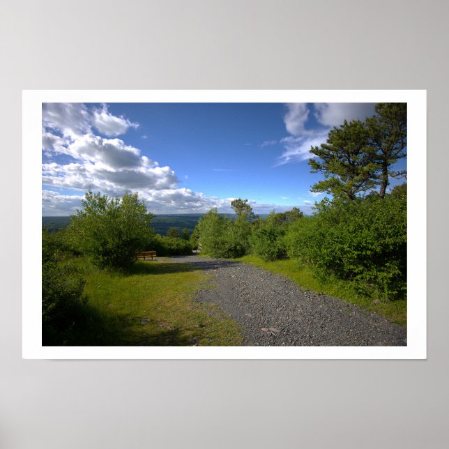 Trees and Clouds Poster (Front)