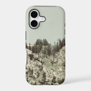 Trees and Hills
