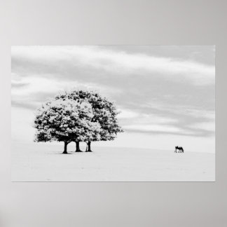 trees and horse poster