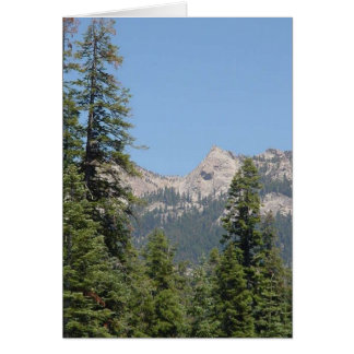 trees and mountains