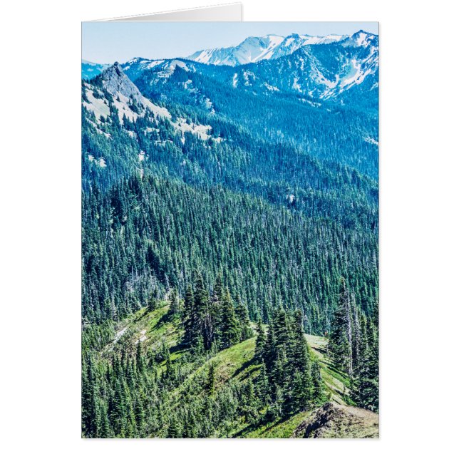 Trees and  Ridges (Front)