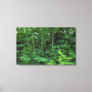 Trees and Shrubs Canvas Print