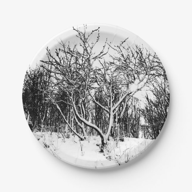 Trees and Snow Scene, Black and White Paper Plate (Front)