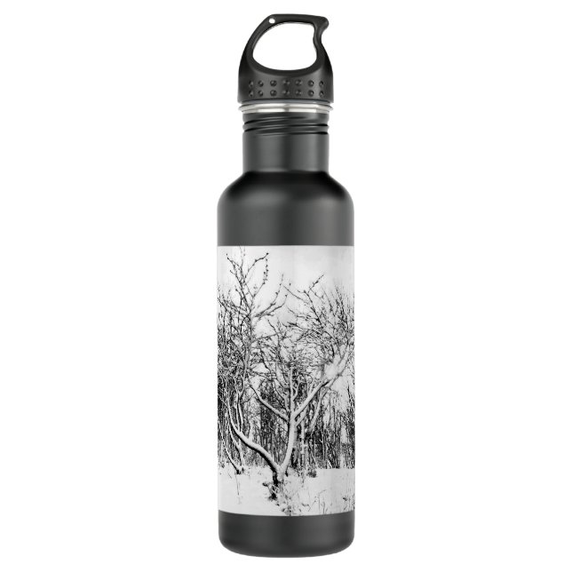 Trees and Snow Scene, Black and White Stainless St 710 Ml Water Bottle (Front)