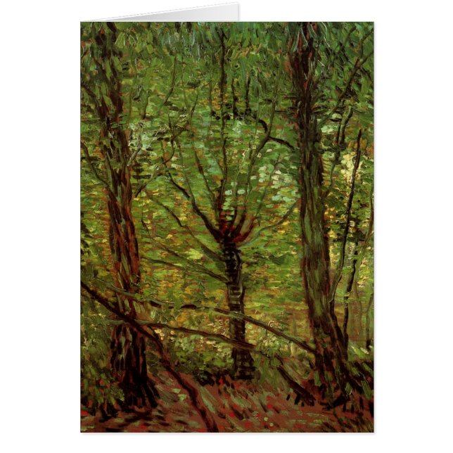 Trees and Undergrowth by Vincent van Gogh (Front)