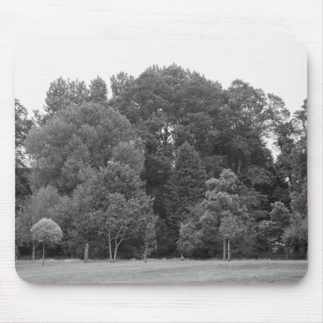 Trees at Bute Park, Cardiff - BW Mouse Mat (Front)