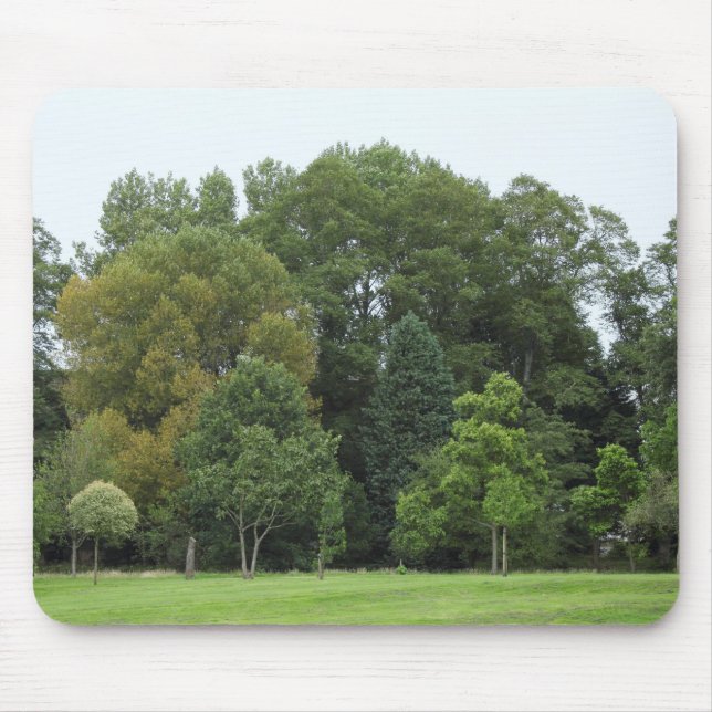 Trees at Bute Park, Cardiff Mouse Mat (Front)