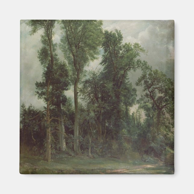 Trees at Hampstead Magnet (Front)