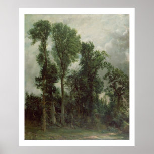 Trees at Hampstead Poster