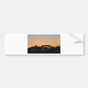Trees at sunset in backlight in Rome Bumper Sticker