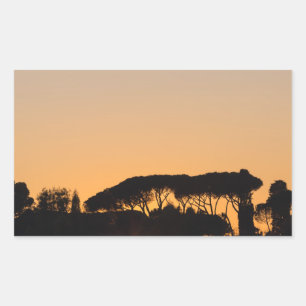 Trees at sunset in backlight in Rome Rectangular Sticker
