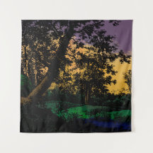 Trees at Sunset