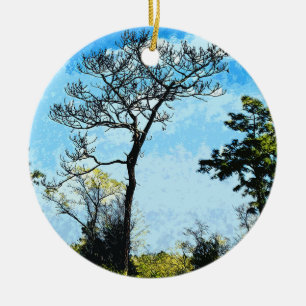 Trees At The Julington-Durbin Preserve Florida Ceramic Tree Decoration
