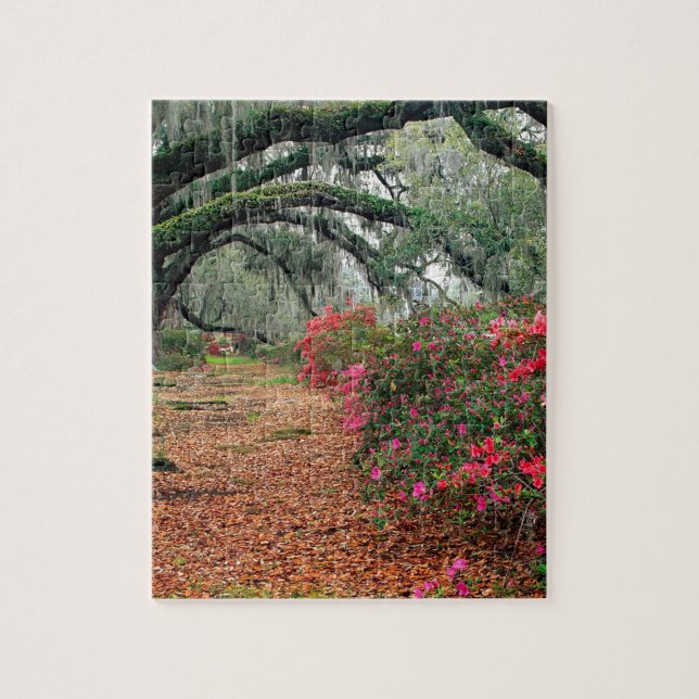Trees Azaleas Oaks Magnolia Charleston Jigsaw Puzzle (Vertical)