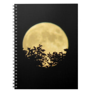 Trees backlit by the full moon notebook