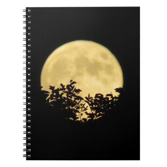 Trees backlit by the full moon notebook (Front)