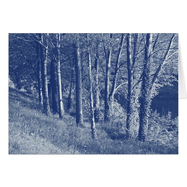 Trees by a River - Cyanotype Effect (Front Horizontal)