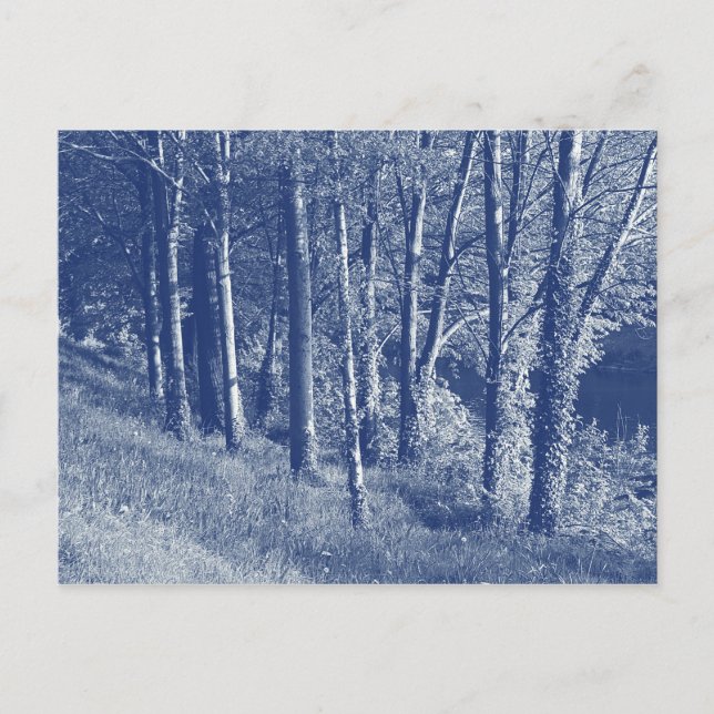 Trees by a River - Cyanotype Effect Postcard (Front)