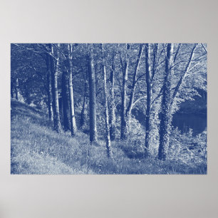Trees by a River - Cyanotype Effect Poster