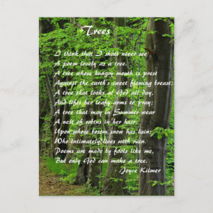 Trees by: Joyce Klimer Postcard