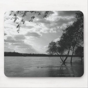 Trees by lake B&W Mouse Mat