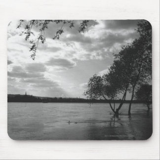 Trees by lake B&W Mouse Mat