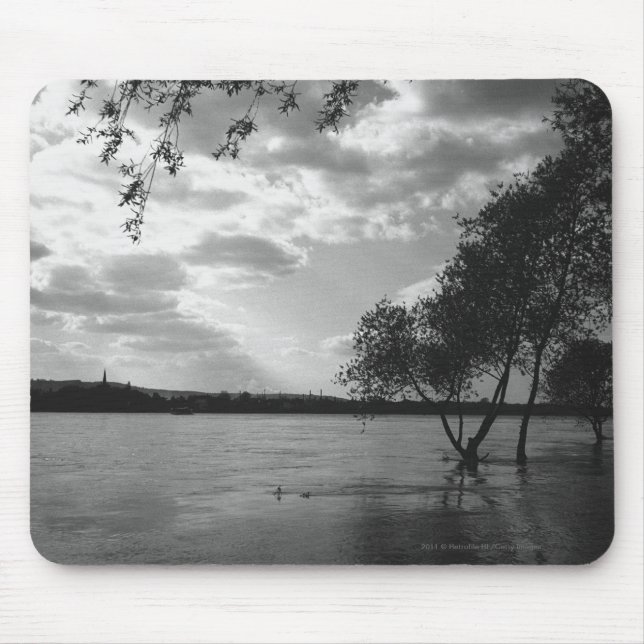Trees by lake B&W Mouse Mat (Front)
