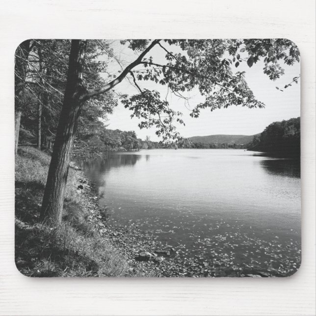 Trees by river B&W Mouse Mat (Front)