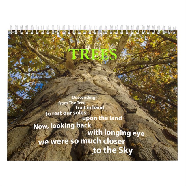 Trees Calendar  (Cover)