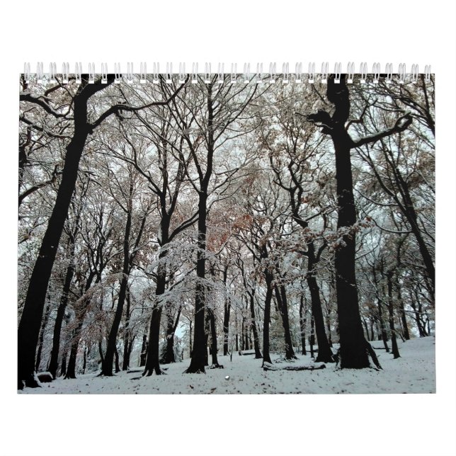 Trees Calendar (Cover)