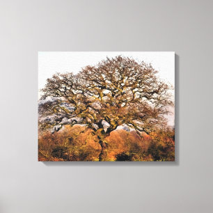 TREES CANVAS PRINT