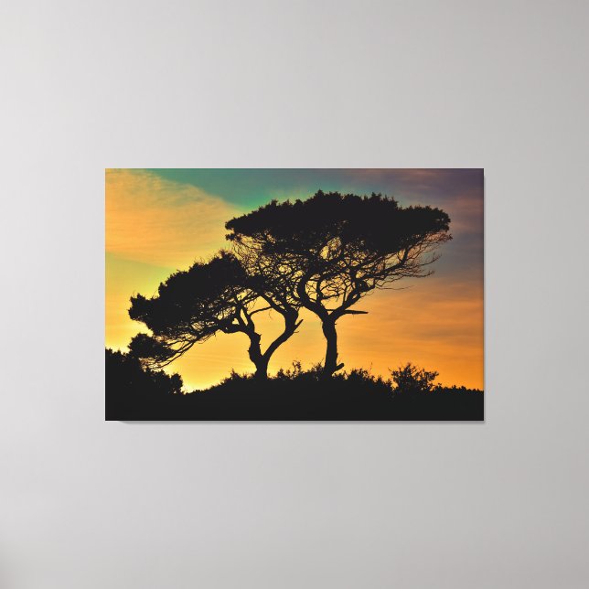 Trees Canvas Print (Front)