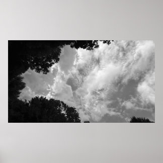 Trees & Clouds,  Poster