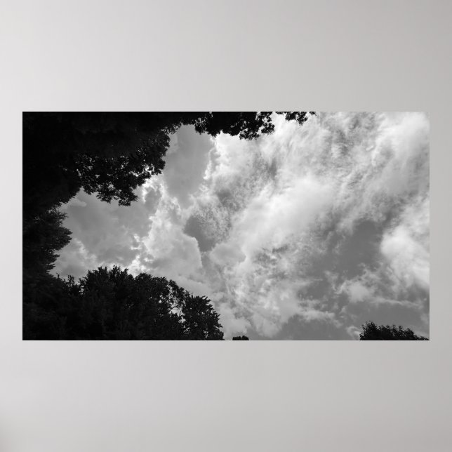 Trees & Clouds,  Poster (Front)
