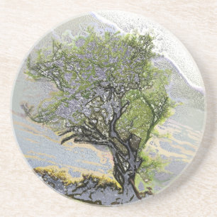 TREES COASTER