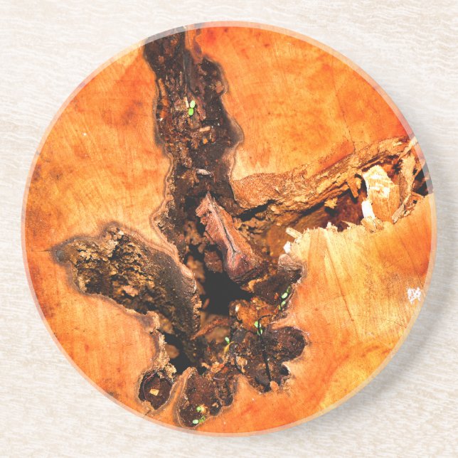 TREES COASTER (Front)