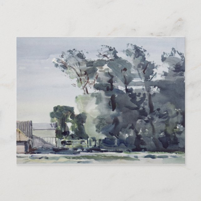 Trees - Dawn Postcard (Front)