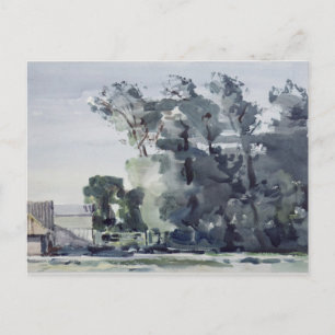 Trees - Dawn Postcard