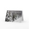 Trees Dressed In Snow Greeting Card
