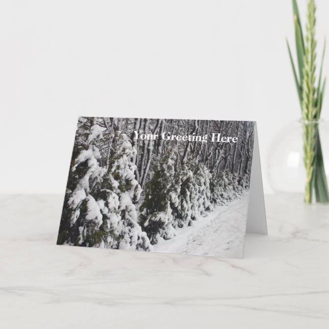 Trees Dressed In Snow Greeting Card (Front)