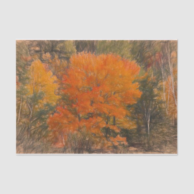 Trees Fall Woodland Forest Orange Sketch Art Tissue Paper (Front)