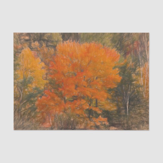 Trees Fall Woodland Forest Orange Sketch Art Tissue Paper (Front)