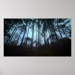 Trees & Fog, Poster