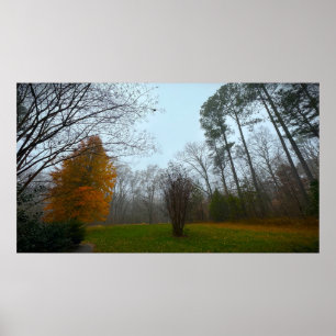 Trees & Fog,  Poster